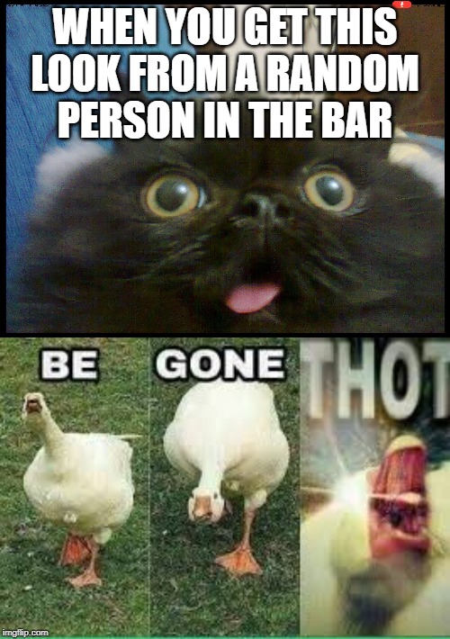 thot | WHEN YOU GET THIS LOOK FROM A RANDOM PERSON IN THE BAR | image tagged in be gone thot,memes,distracted boyfriend,grumpy cat | made w/ Imgflip meme maker