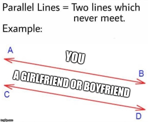 Parallel Lines | YOU; A GIRLFRIEND OR BOYFRIEND | image tagged in parallel lines | made w/ Imgflip meme maker