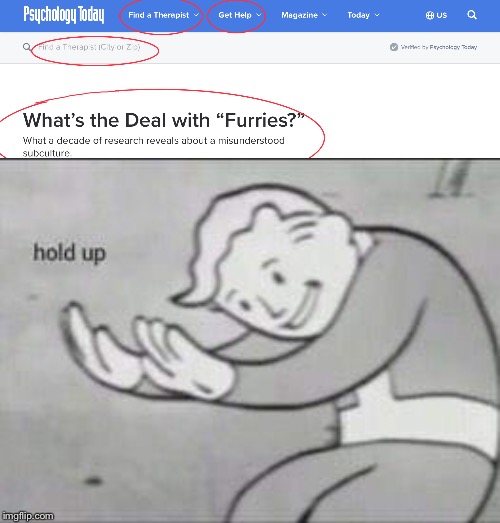 WHY?!? JUST WHY?!? | image tagged in fallout hold up,furries,memes | made w/ Imgflip meme maker