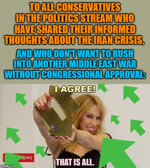 Searching for common ground! | TO ALL CONSERVATIVES IN THE POLITICS STREAM WHO HAVE SHARED THEIR INFORMED THOUGHTS ABOUT THE IRAN CRISIS, AND WHO DON'T WANT TO RUSH INTO ANOTHER MIDDLE EAST WAR WITHOUT CONGRESSIONAL APPROVAL: | image tagged in kylie agree w/ upvotes,iran,middle east,conservatives,respect,anti-war | made w/ Imgflip meme maker