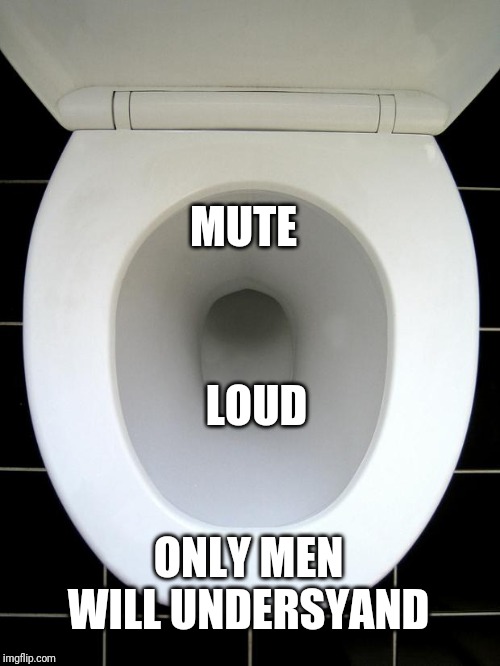 TOILET | MUTE; LOUD; ONLY MEN WILL UNDERSYAND | image tagged in toilet | made w/ Imgflip meme maker