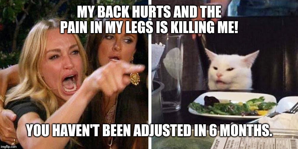 Smudge the cat | MY BACK HURTS AND THE PAIN IN MY LEGS IS KILLING ME! YOU HAVEN'T BEEN ADJUSTED IN 6 MONTHS. | image tagged in smudge the cat | made w/ Imgflip meme maker