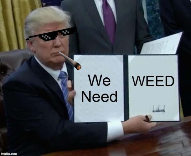 Trump Bill Signing | We Need; WEED | image tagged in memes,trump bill signing | made w/ Imgflip meme maker