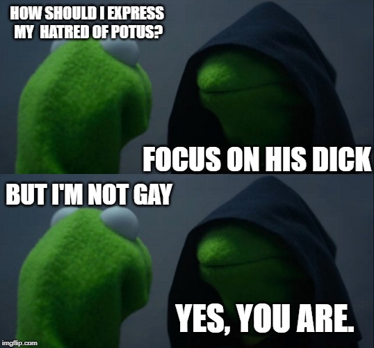 HOW SHOULD I EXPRESS
 MY  HATRED OF POTUS? FOCUS ON HIS DICK BUT I'M NOT GAY YES, YOU ARE. | image tagged in memes,evil kermit | made w/ Imgflip meme maker