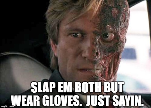Two face | SLAP EM BOTH BUT WEAR GLOVES.  JUST SAYIN. | image tagged in two face | made w/ Imgflip meme maker