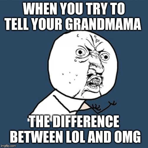 Y U No | WHEN YOU TRY TO TELL YOUR GRANDMAMA; THE DIFFERENCE  BETWEEN LOL AND OMG | image tagged in memes,y u no | made w/ Imgflip meme maker