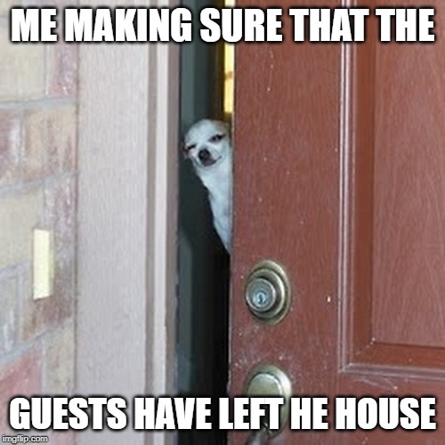 Suspicious Chihuahua | ME MAKING SURE THAT THE; GUESTS HAVE LEFT HE HOUSE | image tagged in suspicious chihuahua | made w/ Imgflip meme maker