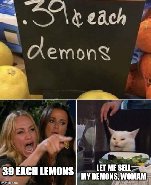 LET ME SELL MY DEMONS, WOMAM; 39 EACH LEMONS | image tagged in cat,funny cat memes,cat lady | made w/ Imgflip meme maker