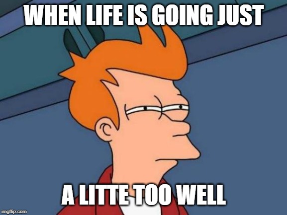 Futurama Fry Meme | WHEN LIFE IS GOING JUST; A LITTE TOO WELL | image tagged in memes,futurama fry | made w/ Imgflip meme maker