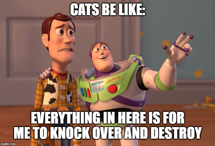 X, X Everywhere | CATS BE LIKE:; EVERYTHING IN HERE IS FOR ME TO KNOCK OVER AND DESTROY | image tagged in memes,x x everywhere | made w/ Imgflip meme maker