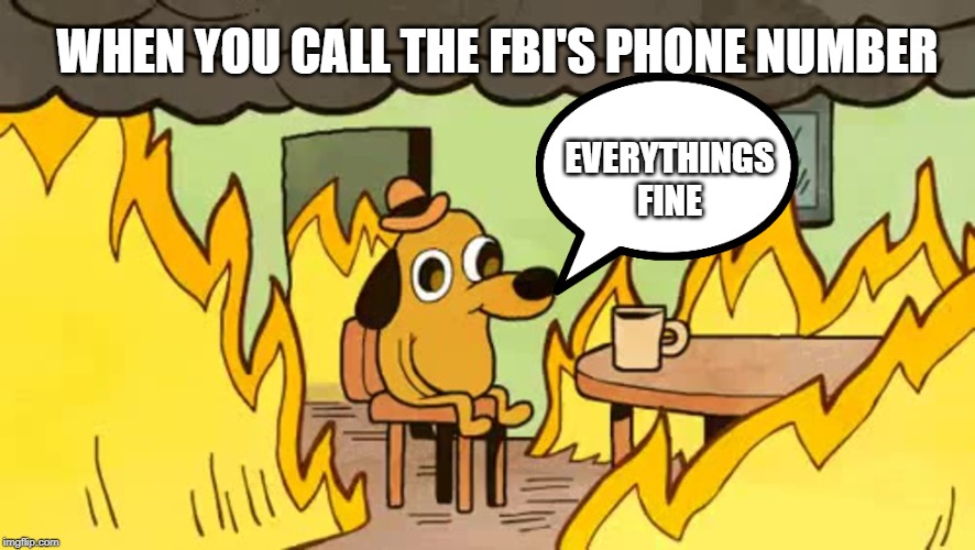 everythings-fine |  WHEN YOU CALL THE FBI'S PHONE NUMBER; EVERYTHINGS FINE | image tagged in everythings-fine | made w/ Imgflip meme maker