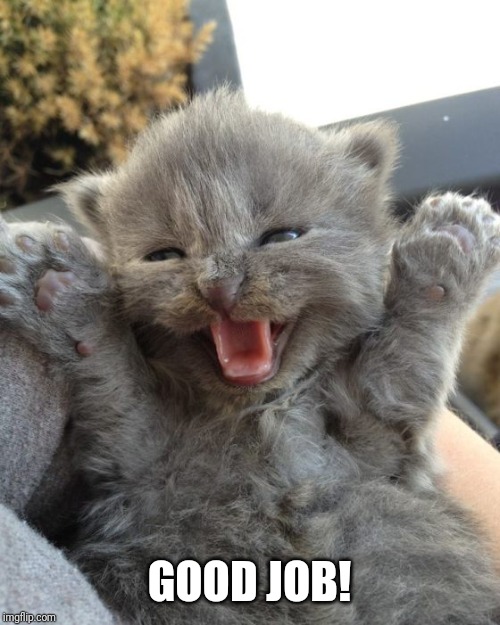 Yay Kitty | GOOD JOB! | image tagged in yay kitty | made w/ Imgflip meme maker