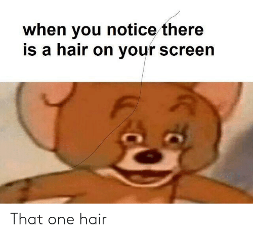 That one hair Blank Meme Template