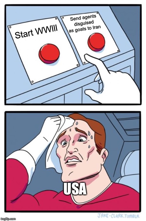 Two Buttons Meme | Send agents disguised as goats to Iran; Start WWlll; USA | image tagged in memes,two buttons | made w/ Imgflip meme maker