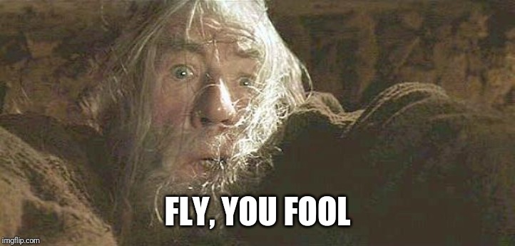 Gandalf Fly You Fools | FLY, YOU FOOL | image tagged in gandalf fly you fools | made w/ Imgflip meme maker