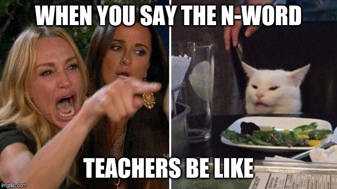 Angry lady cat | WHEN YOU SAY THE N-WORD; TEACHERS BE LIKE | image tagged in angry lady cat | made w/ Imgflip meme maker