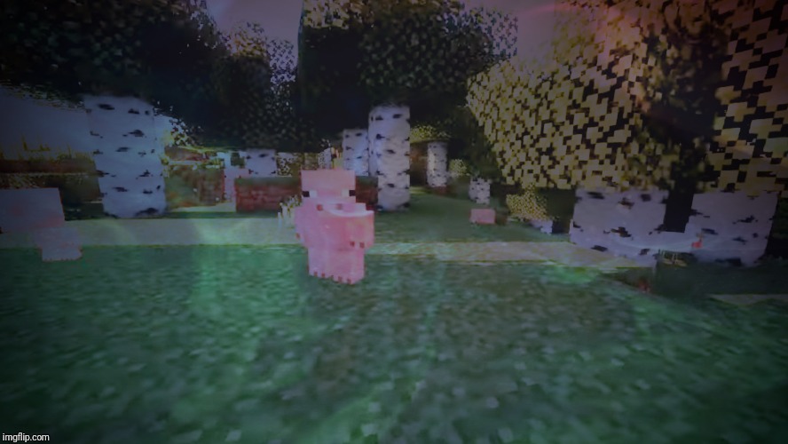 The pigman is born! | image tagged in the pigman is born,memes,minecraft,cursed | made w/ Imgflip meme maker