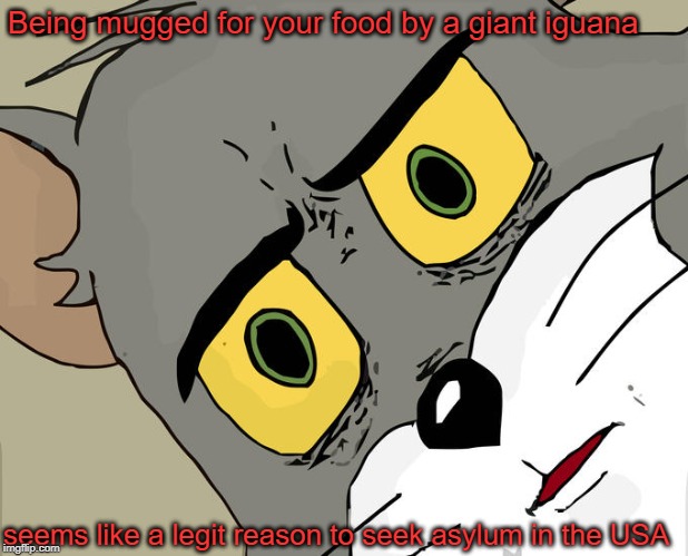 Unsettled Tom Meme | Being mugged for your food by a giant iguana seems like a legit reason to seek asylum in the USA | image tagged in memes,unsettled tom | made w/ Imgflip meme maker