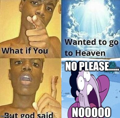 What if you wanted to go to Heaven | NO PLEASE..... NOOOOO | image tagged in what if you wanted to go to heaven | made w/ Imgflip meme maker