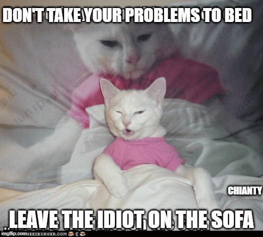 Problems | DON'T TAKE YOUR PROBLEMS TO BED; CHIANTY; LEAVE THE IDIOT ON THE SOFA | image tagged in sofa | made w/ Imgflip meme maker