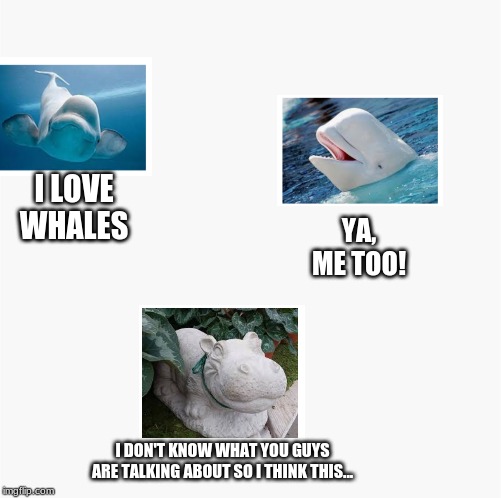 Whale Conversation | YA, ME TOO! I LOVE WHALES; I DON'T KNOW WHAT YOU GUYS ARE TALKING ABOUT SO I THINK THIS... | image tagged in boi | made w/ Imgflip meme maker