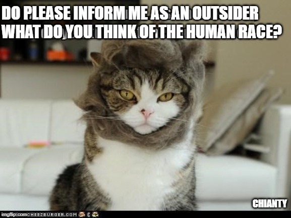 Please Do | DO PLEASE INFORM ME AS AN OUTSIDER
WHAT DO YOU THINK OF THE HUMAN RACE? CHIANTY | image tagged in human | made w/ Imgflip meme maker