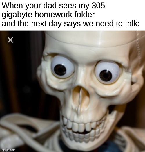 Dead meme | When your dad sees my 305 gigabyte homework folder 
and the next day says we need to talk: | image tagged in dead meme | made w/ Imgflip meme maker