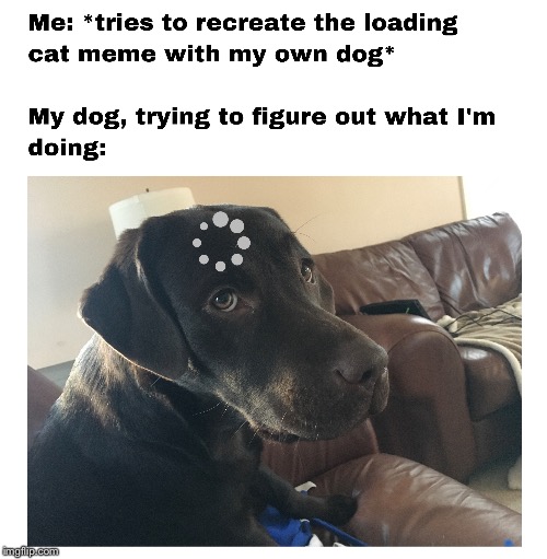Loading Dog | image tagged in loading,loading cat | made w/ Imgflip meme maker