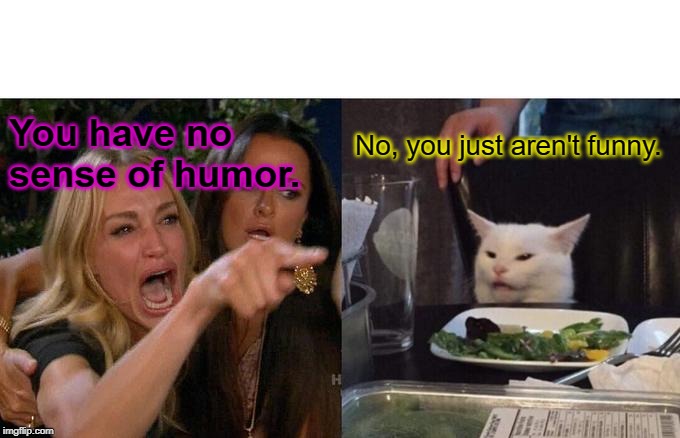 Woman Yelling At Cat Meme | No, you just aren't funny. You have no sense of humor. | image tagged in memes,woman yelling at cat | made w/ Imgflip meme maker