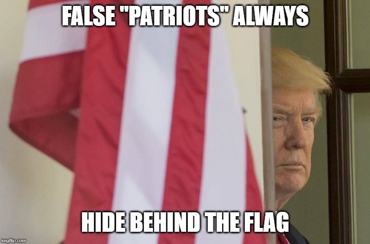 fake patriots | FALSE "PATRIOTS" ALWAYS; HIDE BEHIND THE FLAG | image tagged in trump,fake,patriots | made w/ Imgflip meme maker