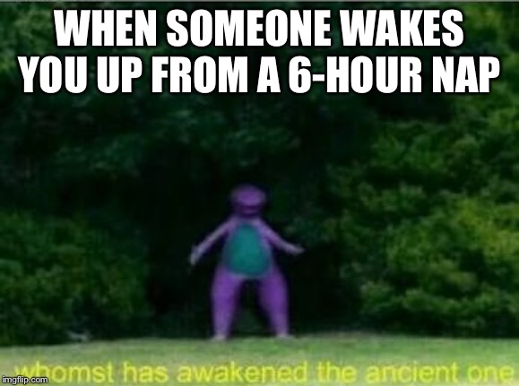 Whomst has awakened the ancient one | WHEN SOMEONE WAKES YOU UP FROM A 6-HOUR NAP | image tagged in whomst has awakened the ancient one | made w/ Imgflip meme maker