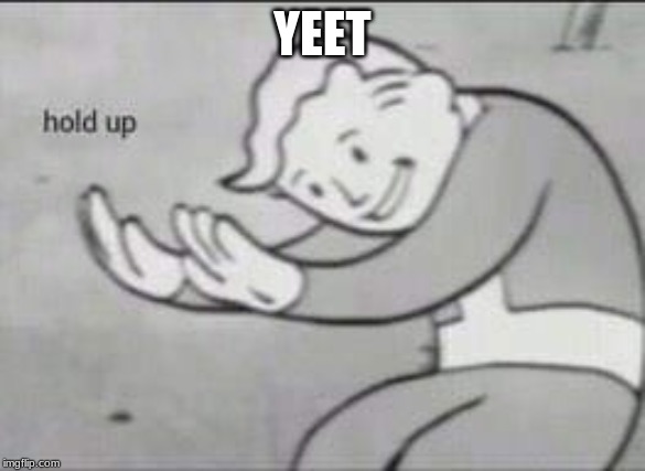 Fallout Hold Up | YEET | image tagged in fallout hold up | made w/ Imgflip meme maker