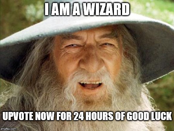 I know you want good luck | I AM A WIZARD; UPVOTE NOW FOR 24 HOURS OF GOOD LUCK | image tagged in a wizard is never late | made w/ Imgflip meme maker