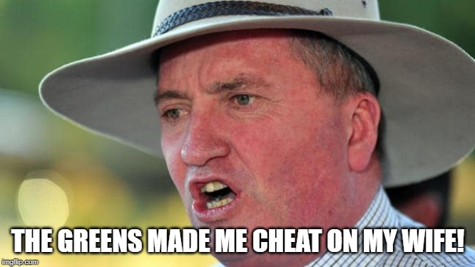 THE GREENS MADE ME CHEAT ON MY WIFE! | image tagged in greens,barnaby joyce | made w/ Imgflip meme maker