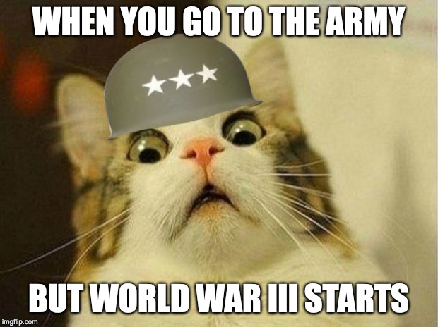 Scared Cat | WHEN YOU GO TO THE ARMY; BUT WORLD WAR III STARTS | image tagged in memes,scared cat | made w/ Imgflip meme maker
