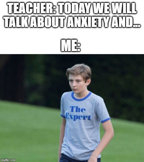 The Expert | TEACHER: TODAY WE WILL TALK ABOUT ANXIETY AND... ME: | image tagged in the expert | made w/ Imgflip meme maker