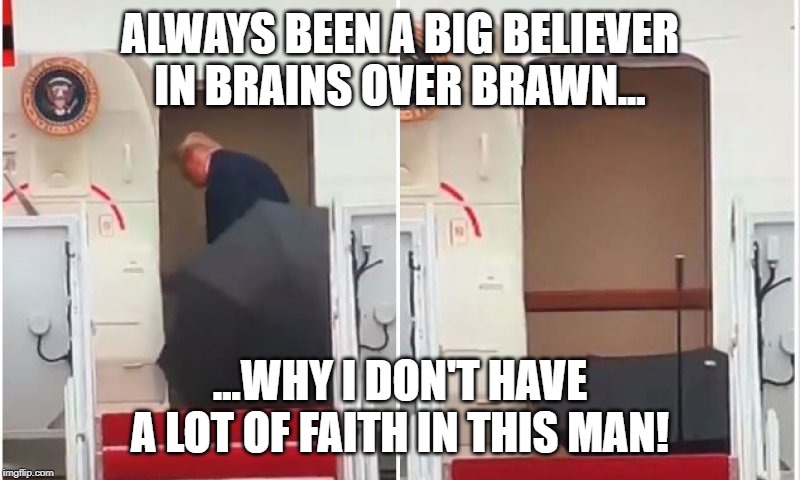 Trump umbrella door | ALWAYS BEEN A BIG BELIEVER IN BRAINS OVER BRAWN... ...WHY I DON'T HAVE A LOT OF FAITH IN THIS MAN! | image tagged in trump umbrella door | made w/ Imgflip meme maker