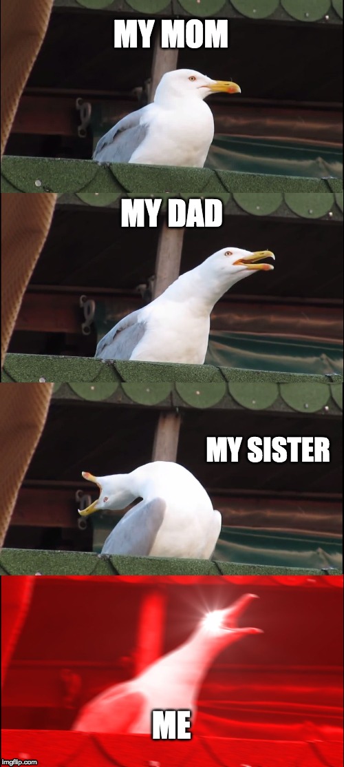 Inhaling Seagull Meme | MY MOM; MY DAD; MY SISTER; ME | image tagged in memes,inhaling seagull | made w/ Imgflip meme maker