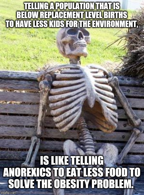 Waiting Skeleton | TELLING A POPULATION THAT IS BELOW REPLACEMENT LEVEL BIRTHS TO HAVE LESS KIDS FOR THE ENVIRONMENT, IS LIKE TELLING ANOREXICS TO EAT LESS FOOD TO SOLVE THE OBESITY PROBLEM. | image tagged in memes,waiting skeleton | made w/ Imgflip meme maker