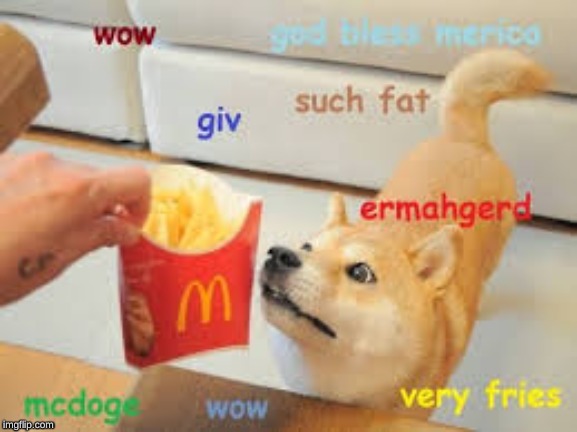 People gib me Frech fired(fries) as  a Treat plz | made w/ Imgflip meme maker