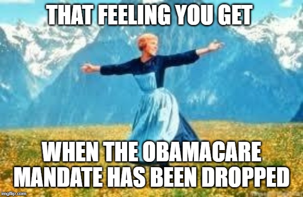 Look At All These | THAT FEELING YOU GET; WHEN THE OBAMACARE MANDATE HAS BEEN DROPPED | image tagged in memes,look at all these | made w/ Imgflip meme maker