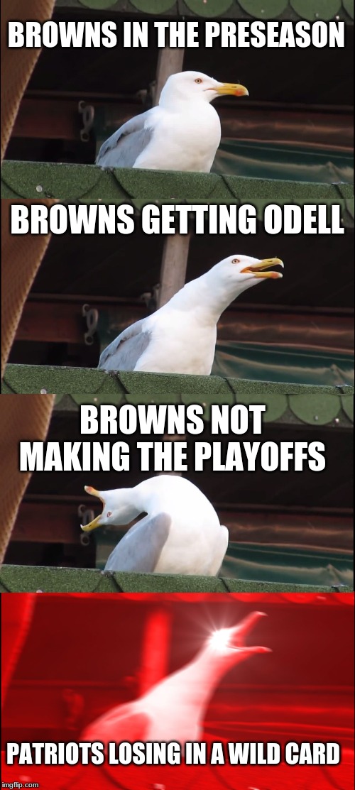 Inhaling Seagull Meme | BROWNS IN THE PRESEASON; BROWNS GETTING ODELL; BROWNS NOT MAKING THE PLAYOFFS; PATRIOTS LOSING IN A WILD CARD | image tagged in memes,inhaling seagull | made w/ Imgflip meme maker