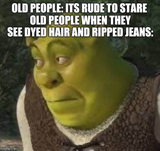 sherk | OLD PEOPLE: ITS RUDE TO STARE 
OLD PEOPLE WHEN THEY SEE DYED HAIR AND RIPPED JEANS: | image tagged in sherk | made w/ Imgflip meme maker