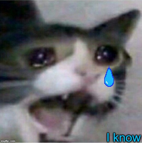 crying cat | I know | image tagged in crying cat | made w/ Imgflip meme maker