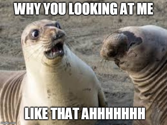 WHY YOU LOOKING AT ME; LIKE THAT AHHHHHHH | image tagged in stalker | made w/ Imgflip meme maker