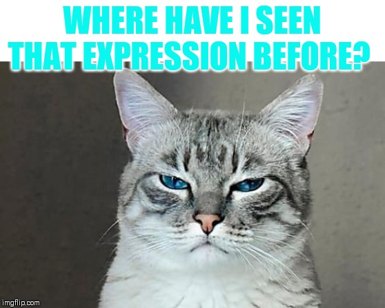 WHERE HAVE I SEEN THAT EXPRESSION BEFORE? | made w/ Imgflip meme maker
