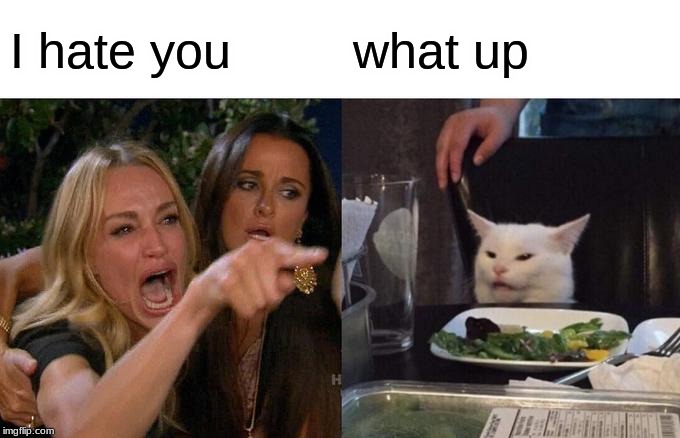 Woman Yelling At Cat Meme | I hate you; what up | image tagged in memes,woman yelling at cat | made w/ Imgflip meme maker