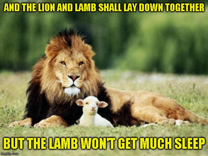Not to mention the predator breath and the snoring | AND THE LION AND LAMB SHALL LAY DOWN TOGETHER; BUT THE LAMB WON'T GET MUCH SLEEP | image tagged in just a joke | made w/ Imgflip meme maker