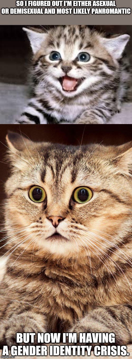SO I FIGURED OUT I'M EITHER ASEXUAL OR DEMISEXUAL AND MOST LIKELY PANROMANTIC; BUT NOW I'M HAVING A GENDER IDENTITY CRISIS. | image tagged in happy cat,shocked cat | made w/ Imgflip meme maker