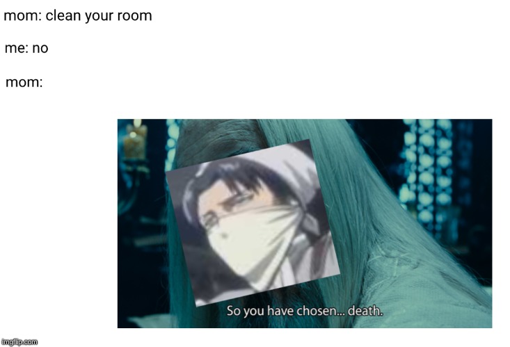 Moms when you don't clean your room: | image tagged in attack on titan,levi ackerman,funny,so true,mom,hilarious | made w/ Imgflip meme maker